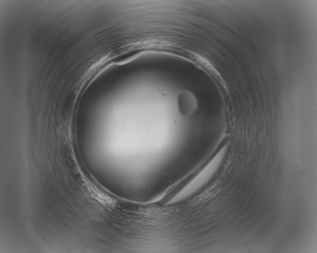 X0000052560946200507081632