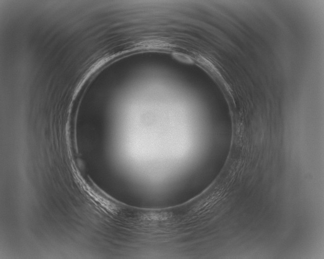 X0000052560947200507081632