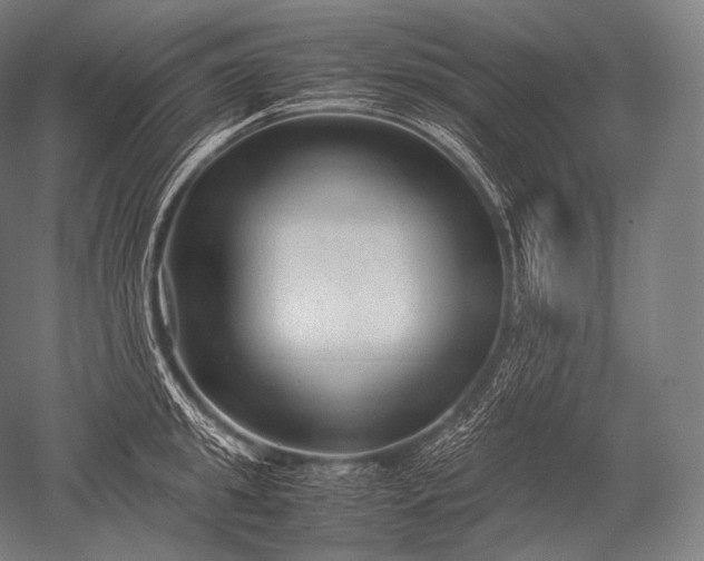 X0000052560949200507081632
