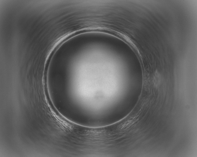 X0000052560951200507081632
