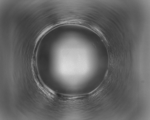 X0000052560952200507081632