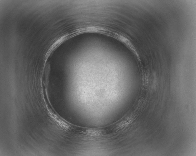 X0000052560954200507081632