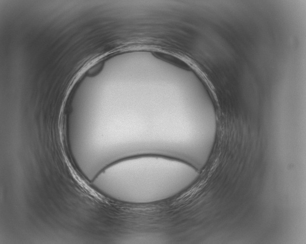 X0000052560957200507081632