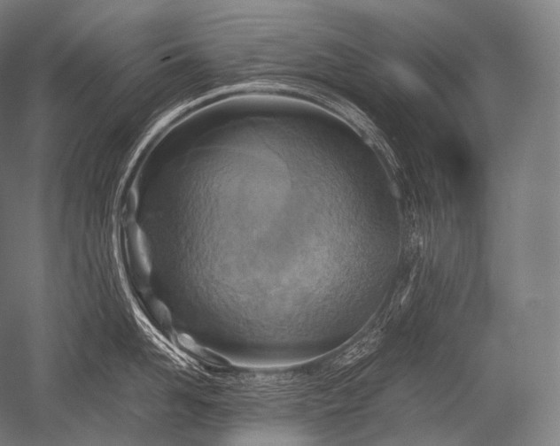 X0000052560958200507081632