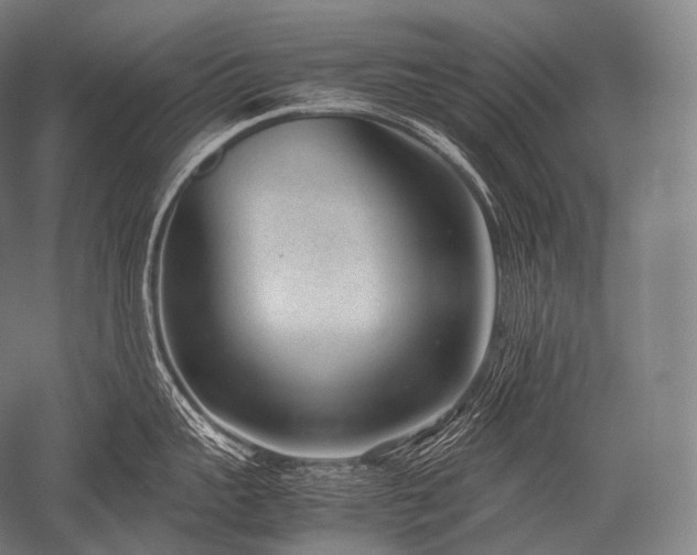 X0000052560959200507081632