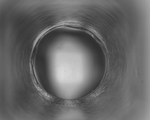 X0000052560960200507081632