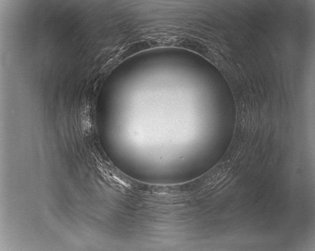X0000052560962200507081631
