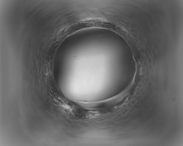 X0000052560965200507081631