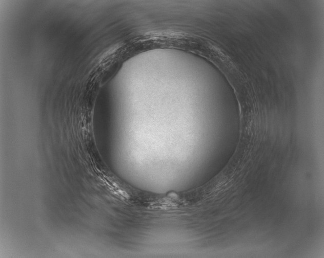 X0000052560966200507081631