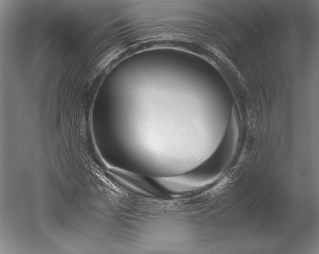 X0000052560969200507081631