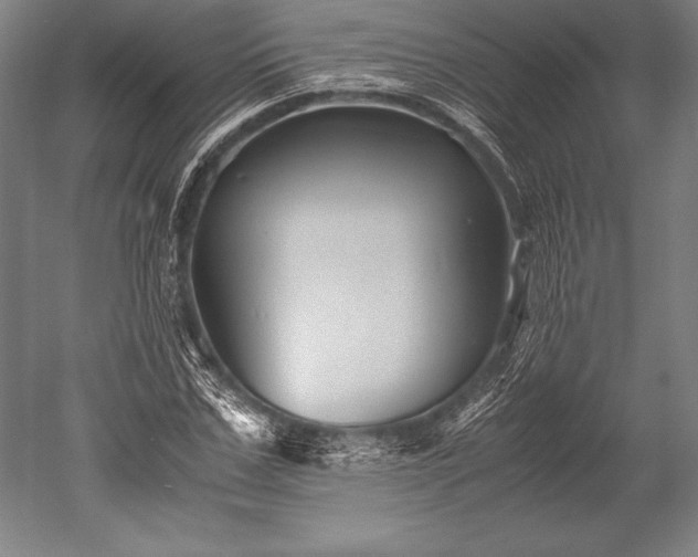 X0000052560971200507081631