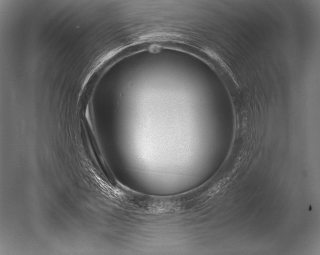 X0000052560973200507081631