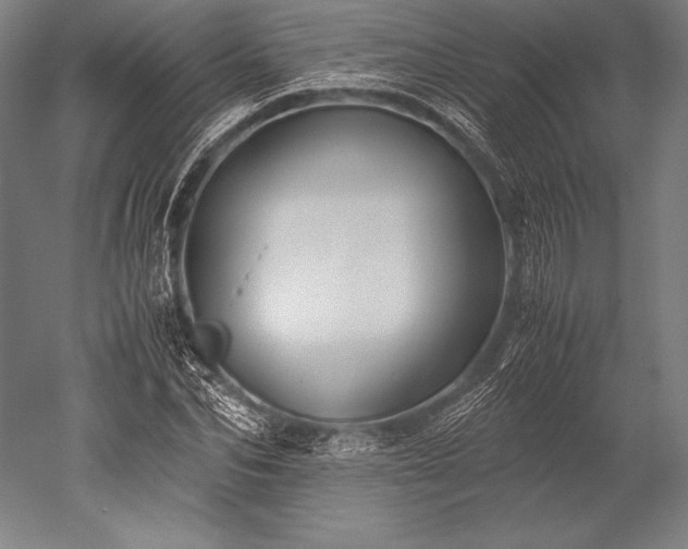X0000052560974200507081631