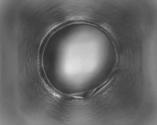 X0000052560976200507081631