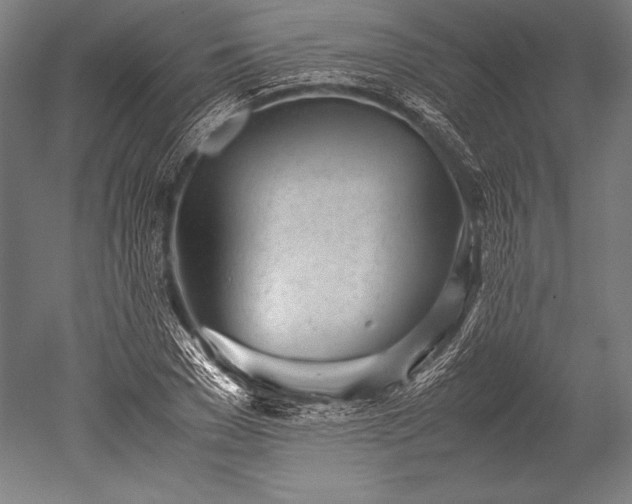 X0000052560977200507081631