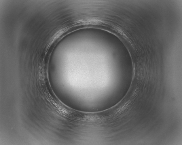 X0000052560978200507081631