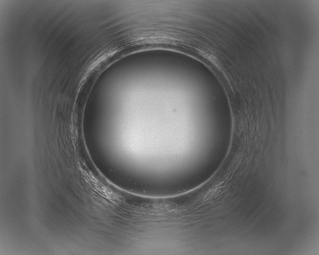 X0000052560979200507081631