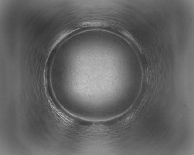 X0000052560983200507081631