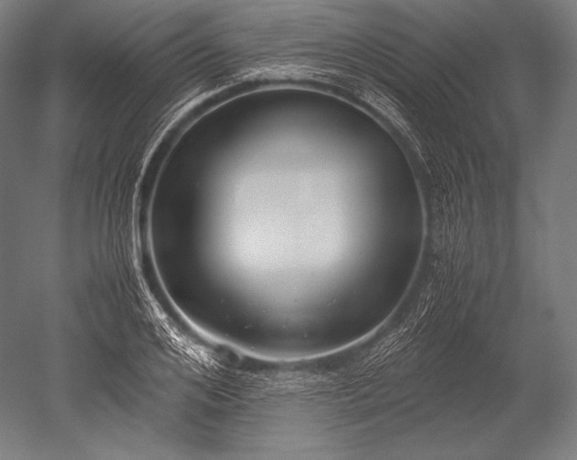 X0000052560984200507081631