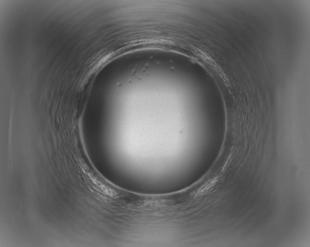 X0000052560985200507081631
