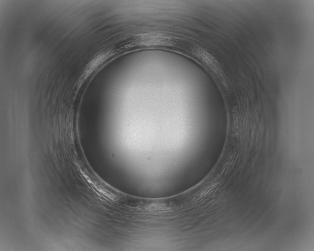 X0000052560986200507081631