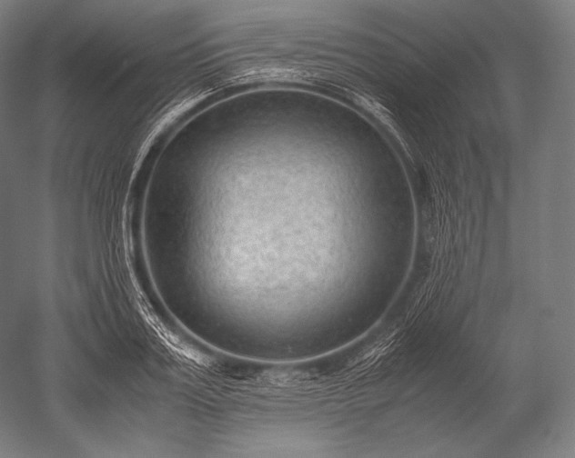 X0000052560987200507081631