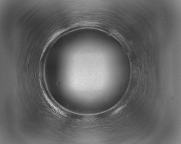 X0000052560989200507081631