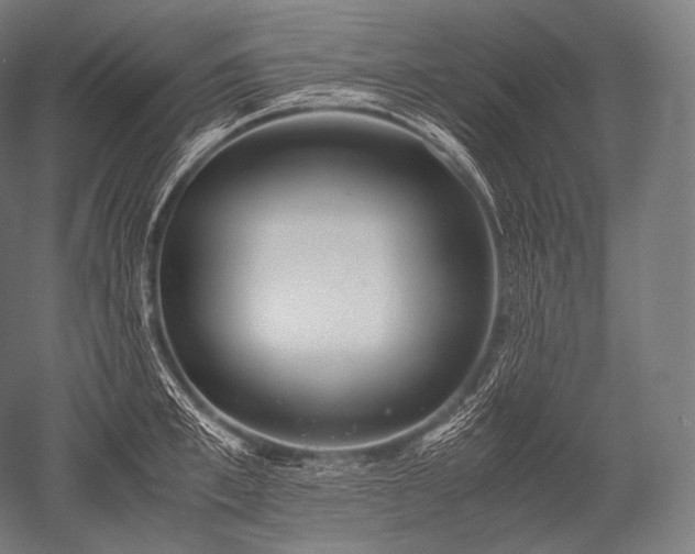 X0000052560997200507081631