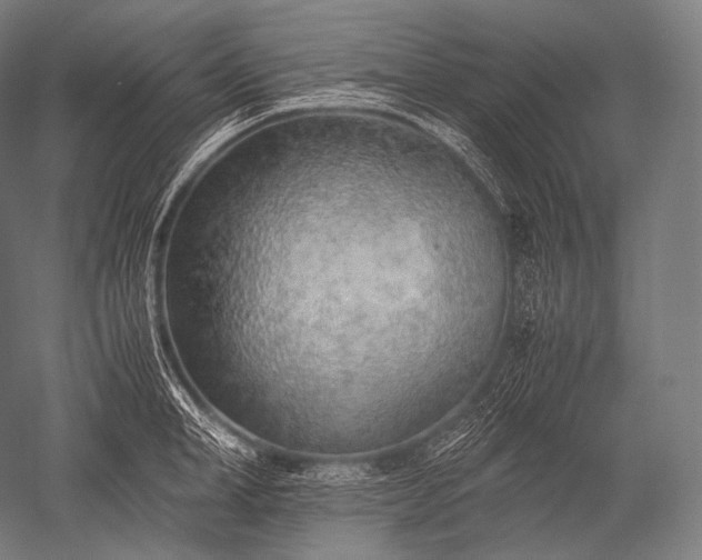 X0000052560998200507081631