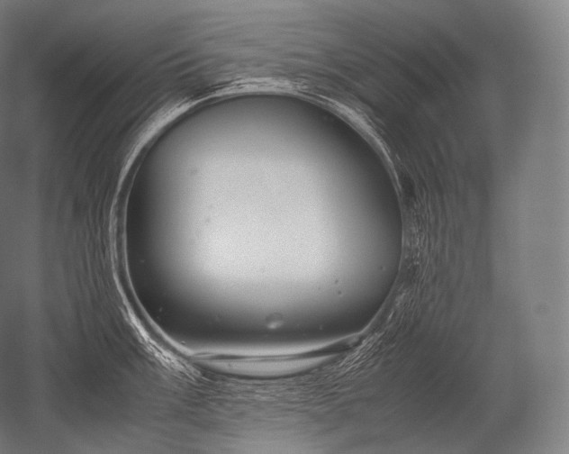 X0000052561003200507081631