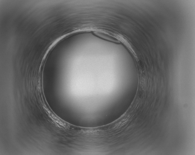 X0000052561004200507081631