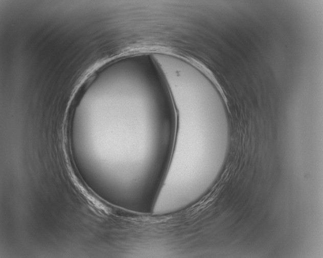 X0000052561005200507081631