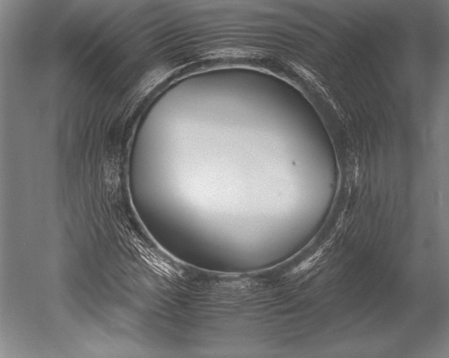 X0000052561017200507081630