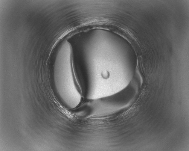 X0000052561018200507081630