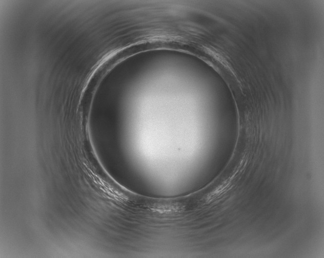 X0000052561021200507081630