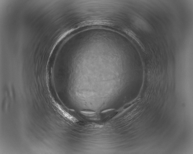 X0000052561024200507081630