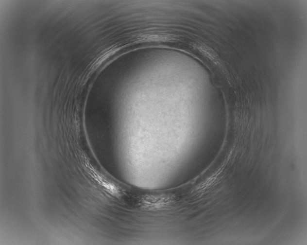 X0000052561025200507081630