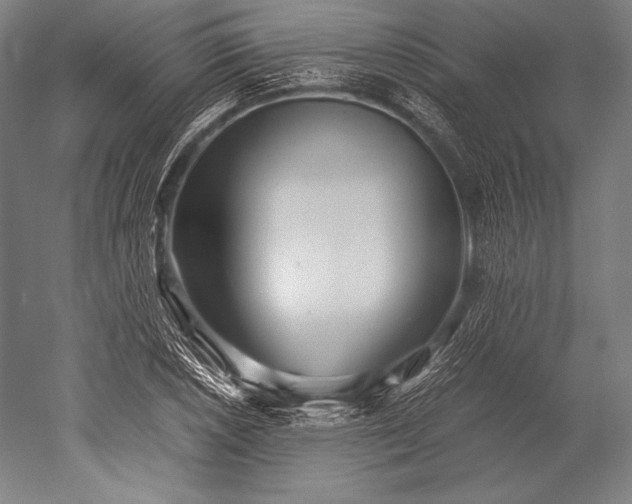 X0000052561026200507081630