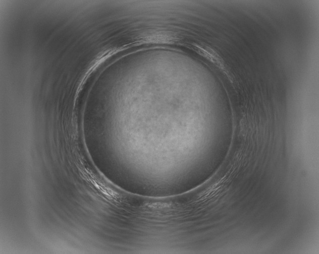 X0000052561027200507081630