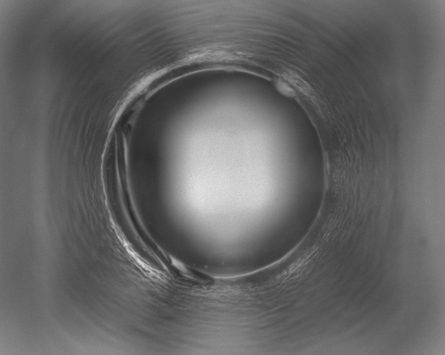 X0000052561030200507081630