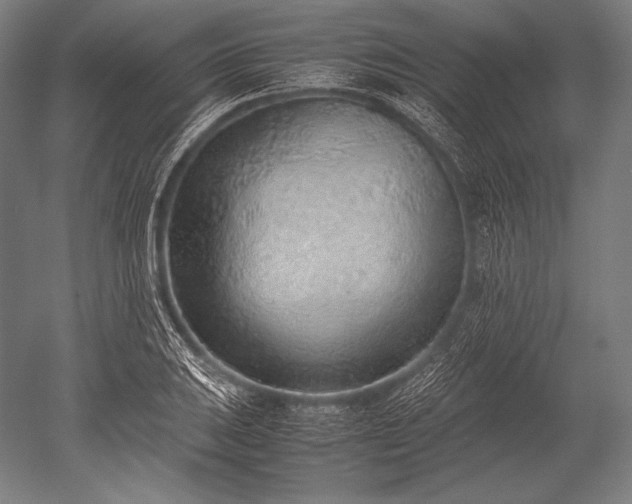 X0000052561031200507081630