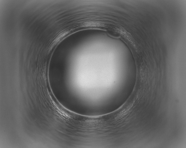 X0000052561033200507081630