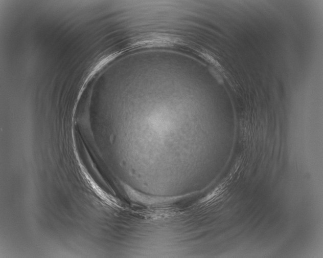 X0000052561034200507081630