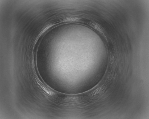 X0000052561035200507081630
