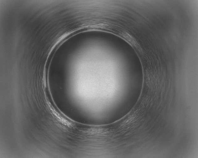 X0000052561036200507081630