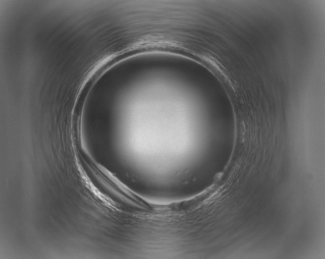 X0000052561038200507081630