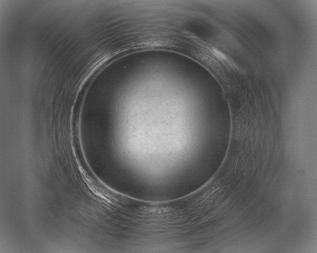 X0000052561039200507081630