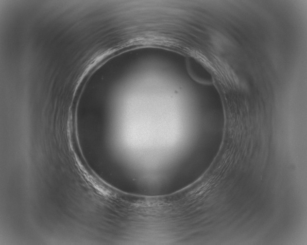 X0000052561040200507081630