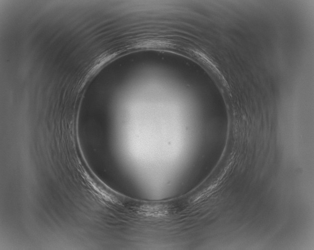 X0000052561041200507081630