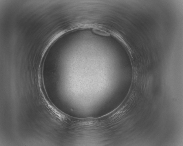 X0000052561048200507081630